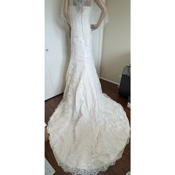 Pronovias Dafnis custom elaborately beaded strapless Wedding Dress/veil Sz 10/6 - Picture 4 of 16